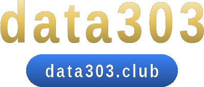 data303 logo